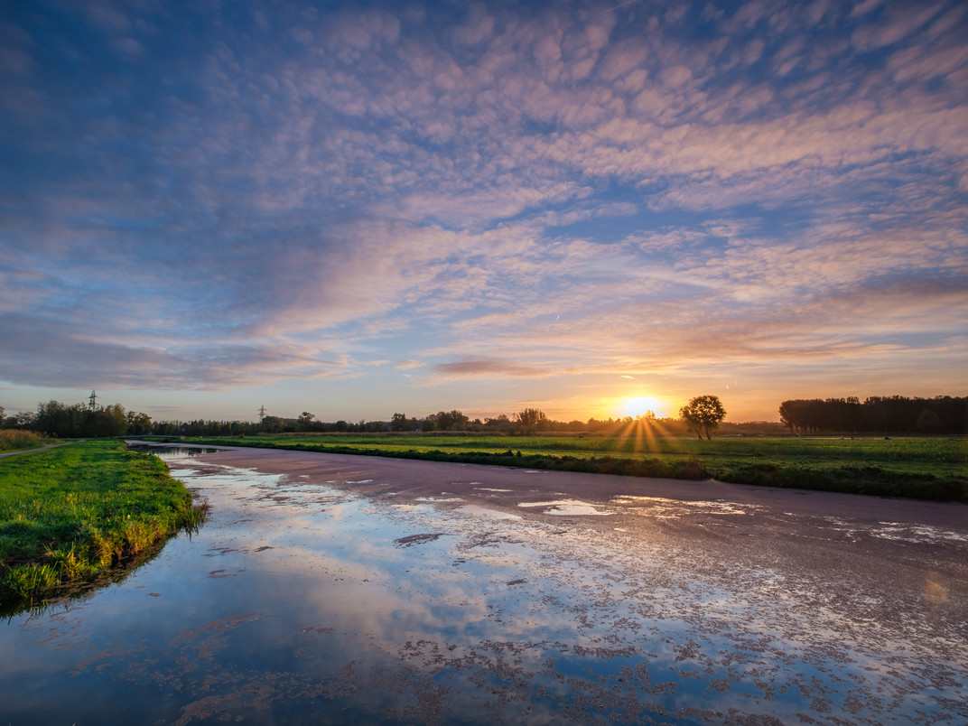 Midden-Delfland